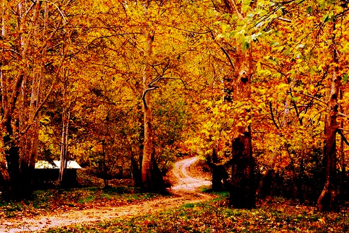 Mezuniyet fotoğrafçısı | Ankara Mezuniyet Fotoğrafçısı
